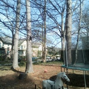 Meet your Posher, Katrina